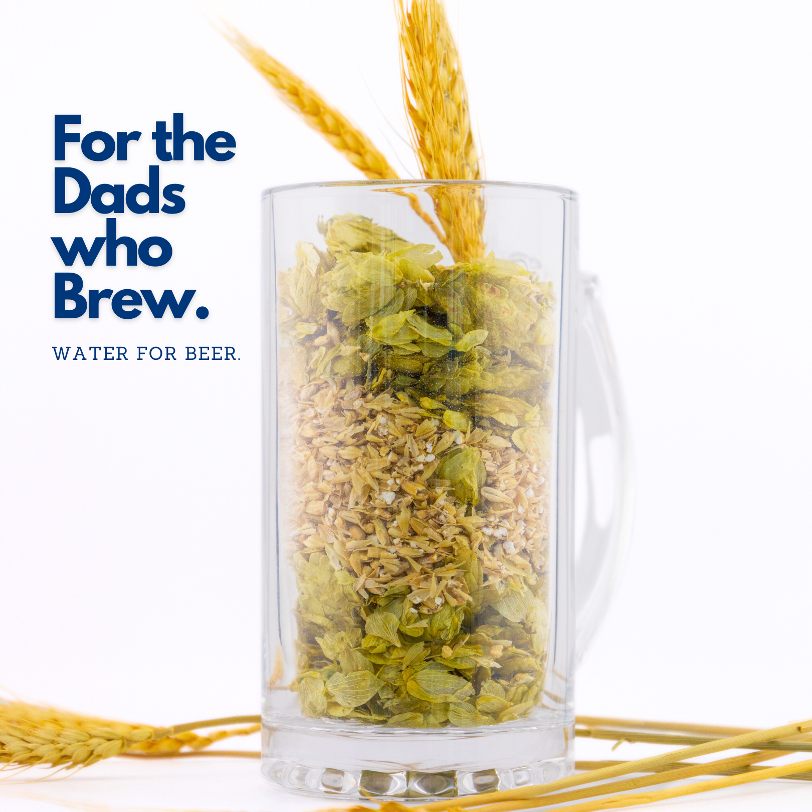 US Water Brewt Portable homebrewing water treatment solution